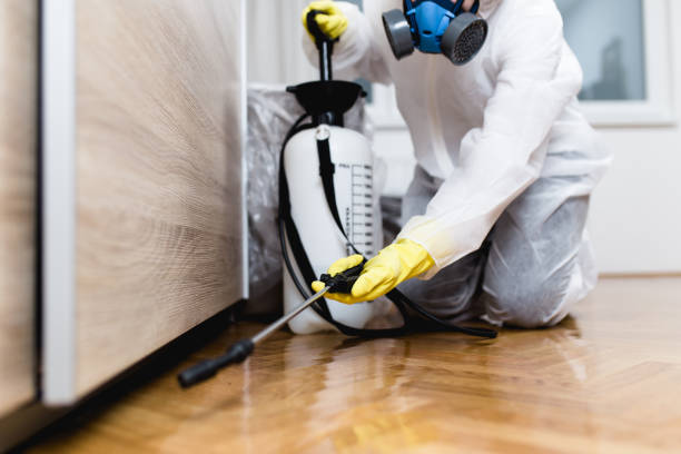 Best Termite Control Services  in Harrah, OK