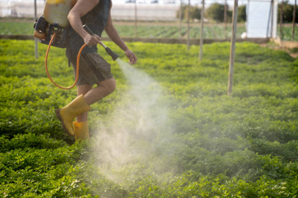 Best Best Pest Control Companies  in Harrah, OK