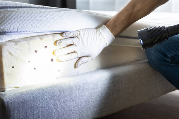 Trusted Harrah, OK Pest Control Experts