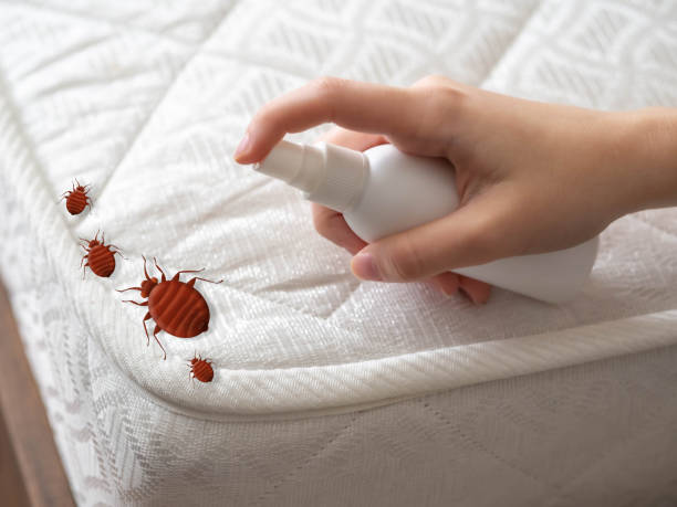 Best Emergency Pest Control  in Harrah, OK