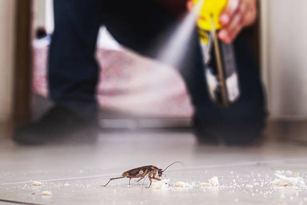 Best Bed Bug Extermination  in Harrah, OK